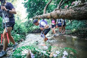 BIB: 
                            <button type="button" onclick="openModal(25448049)" class="btn btn-primary btn-sm float-right btn-popup" data-toggle="modal" data-target=".modal-high-quality">
                        <i class="fas fa-shopping-cart"></i> Add to Cart
                    </button>
                                            <button type="button" onclick="isThisMe(25448049, true)" class="btn btn-success btn-sm float-right btn-popup btn-isme hidden" data-toggle="tooltip" data-placement="bottom" title="นี่คือรูปของคุณใช่ไหม คลิกที่นี่เพื่อเอาเข้าอัลบั้ม">
                        <i class="fas fa-plus"></i> Add to album
                    </button>
                    <button type="button" onclick="isThisMe(25448049, false)" class="btn btn-warning btn-sm float-right btn-popup btn-isnotme hidden">
                        <i class="fas fa-ban"></i> Remove from album
                    </button>